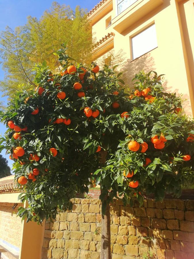 Apartment Princess Park, Mijas